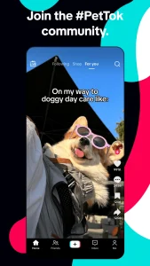 دانلود برنامه تیک تاک اصلی + مود (بدون خطا) TikTok 43.9.2 با لینک مستقیم
