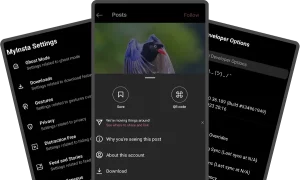دانلود MyInsta 2026 (مای اینستا) جدیدترین نسخه با لینک مستقیم