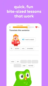 دانلود دولینگو پرمیوم و مود شده Duolingo Premium 6.80.6 با لینک مستقیم | نسخه جدید